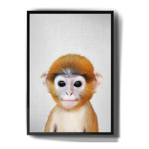 Quadro Decorativo Macaco Filhote Fofo Animais Fofos